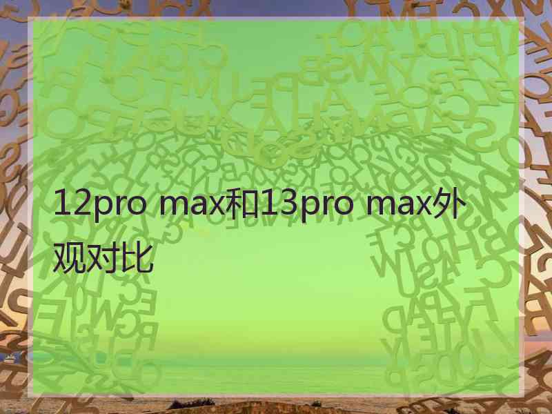 12pro max和13pro max外观对比