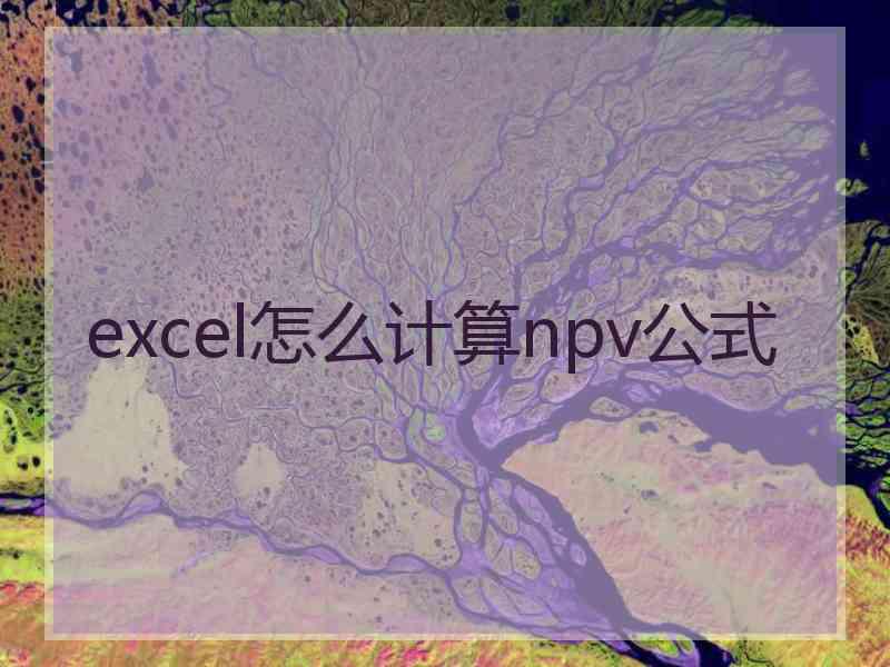 excel怎么计算npv公式