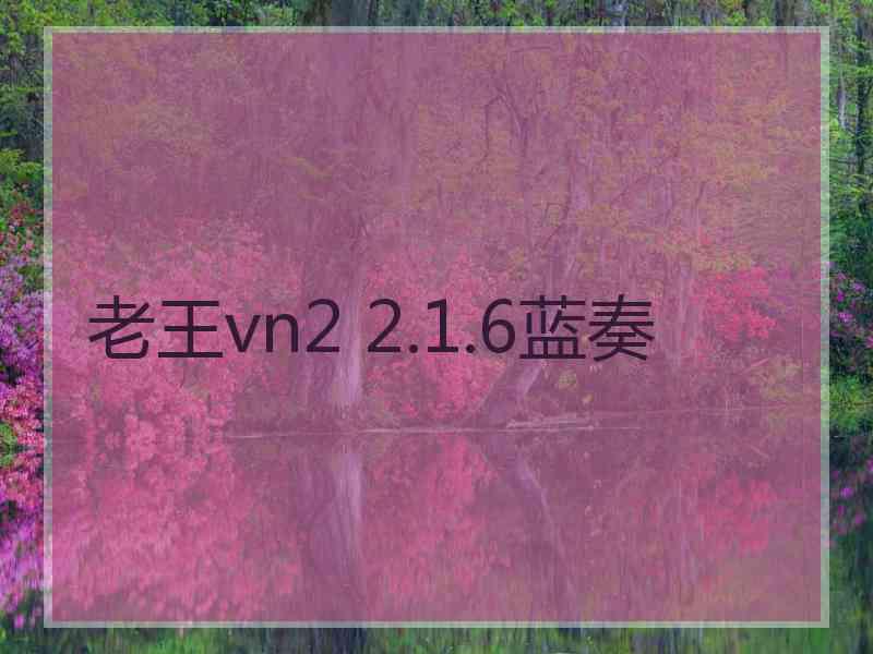 老王vn2 2.1.6蓝奏