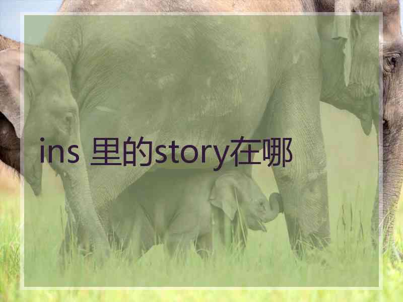 ins 里的story在哪