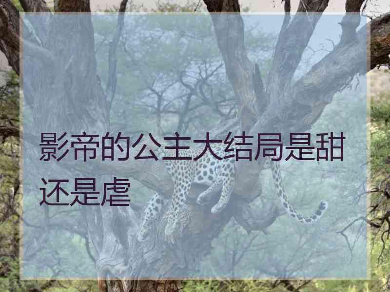 影帝的公主大结局是甜还是虐