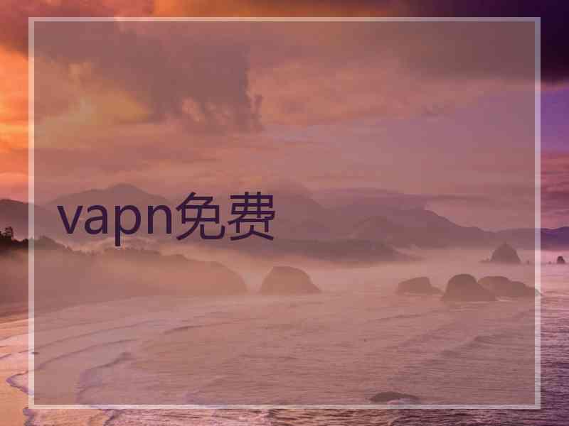 vapn免费