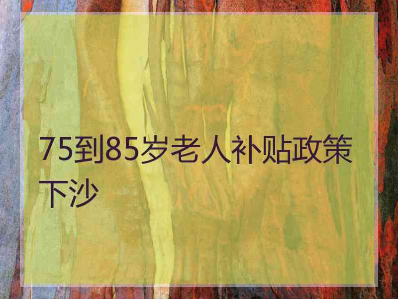 75到85岁老人补贴政策下沙