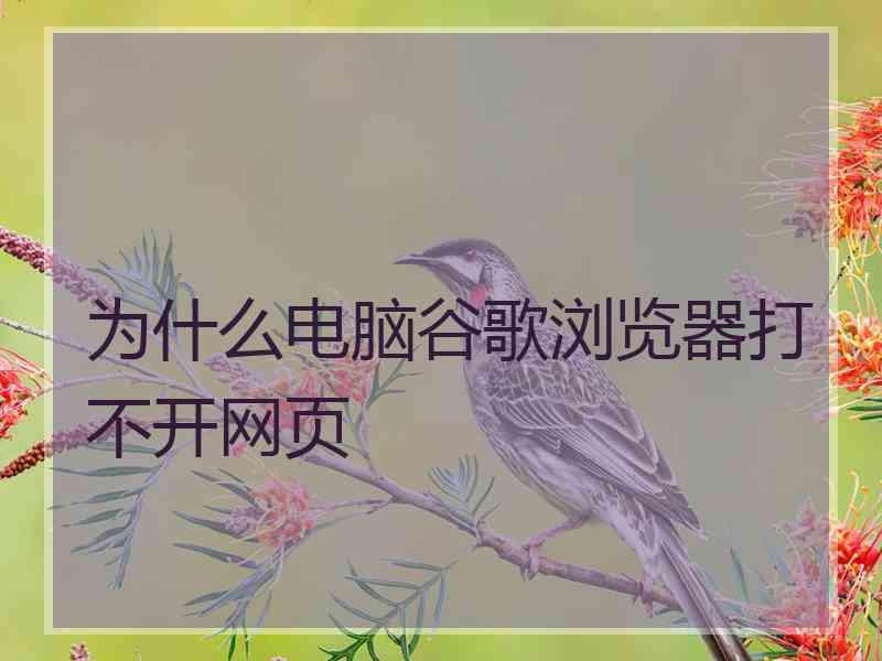 为什么电脑谷歌浏览器打不开网页