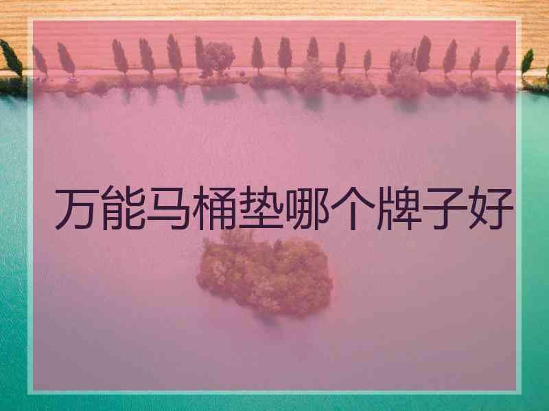 万能马桶垫哪个牌子好