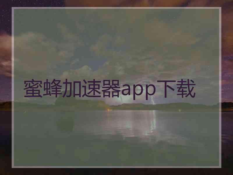 蜜蜂加速器app下载