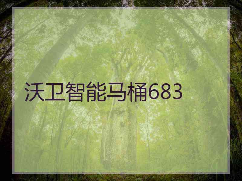 沃卫智能马桶683