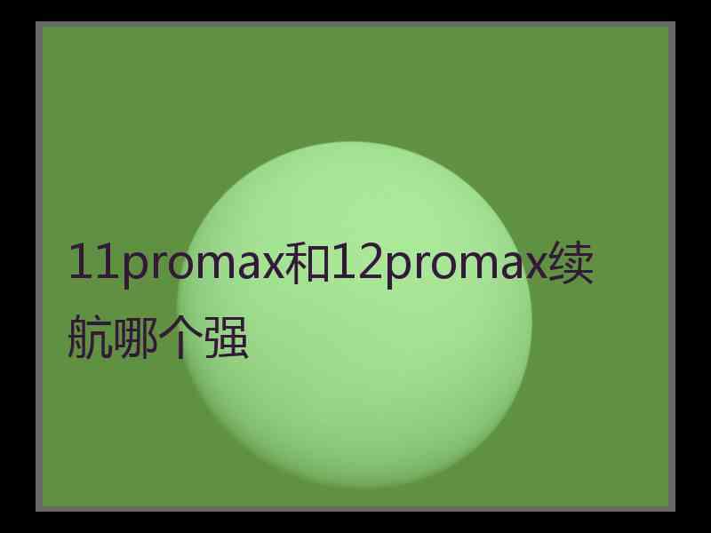 11promax和12promax续航哪个强