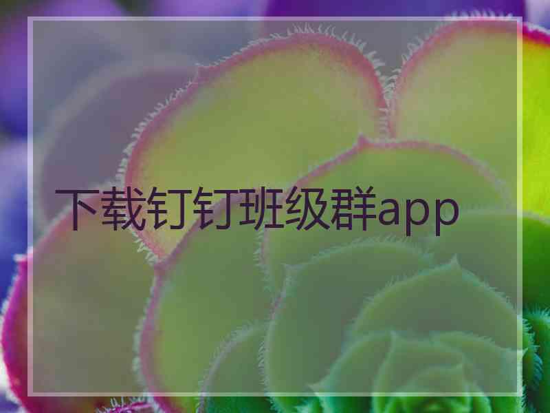 下载钉钉班级群app