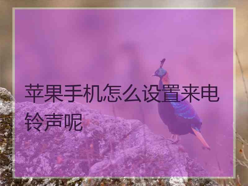 苹果手机怎么设置来电铃声呢