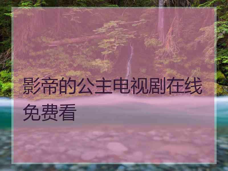 影帝的公主电视剧在线免费看