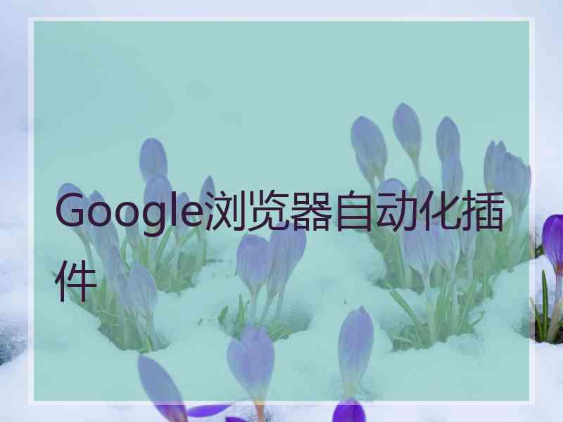 Google浏览器自动化插件