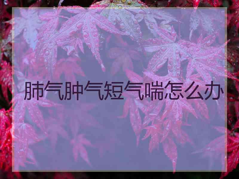 肺气肿气短气喘怎么办