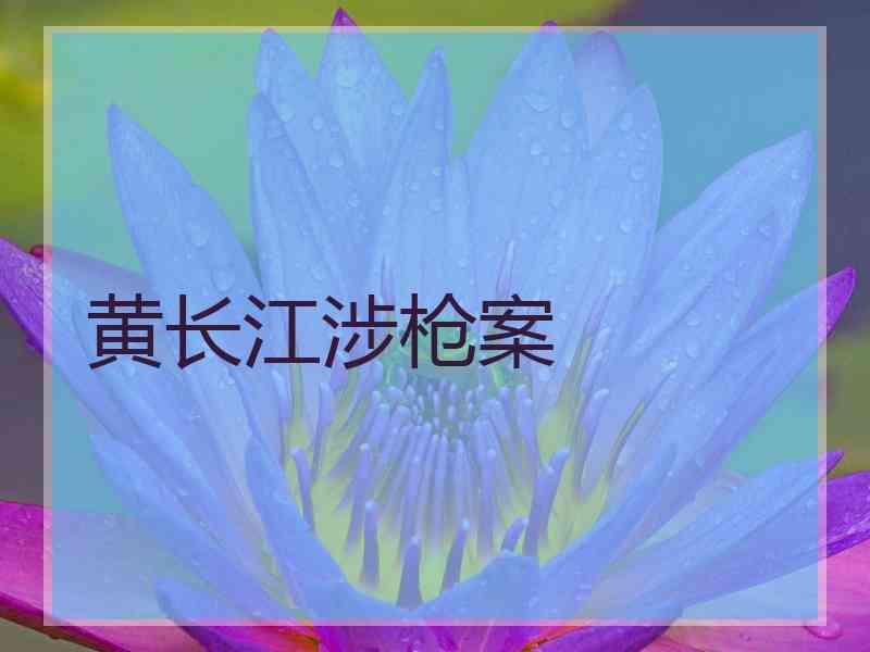 黄长江涉枪案