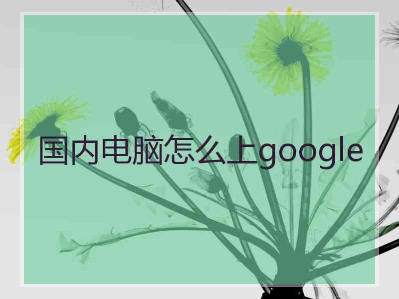 国内电脑怎么上google