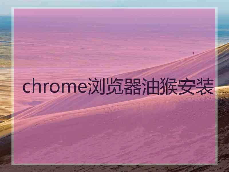 chrome浏览器油猴安装