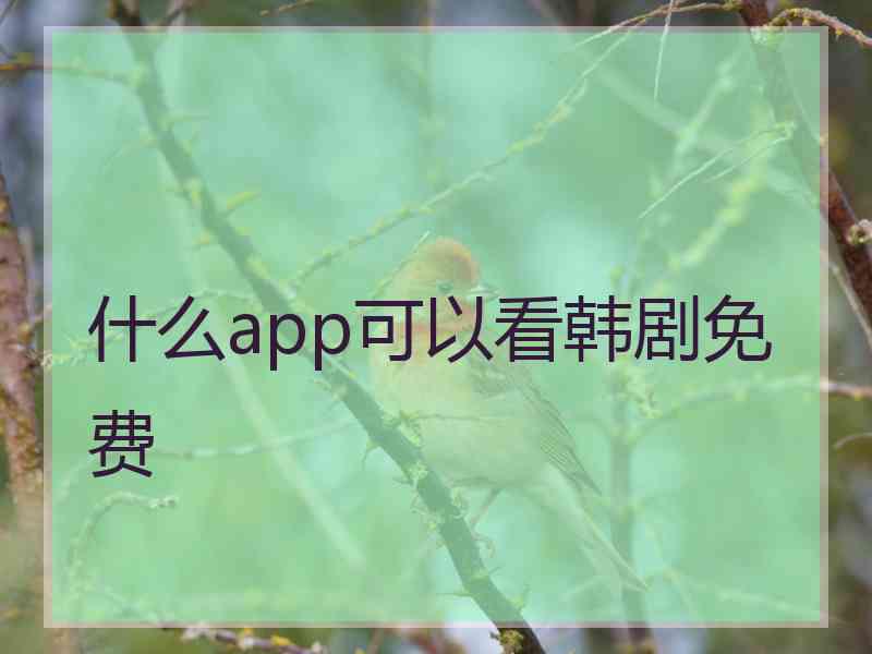 什么app可以看韩剧免费