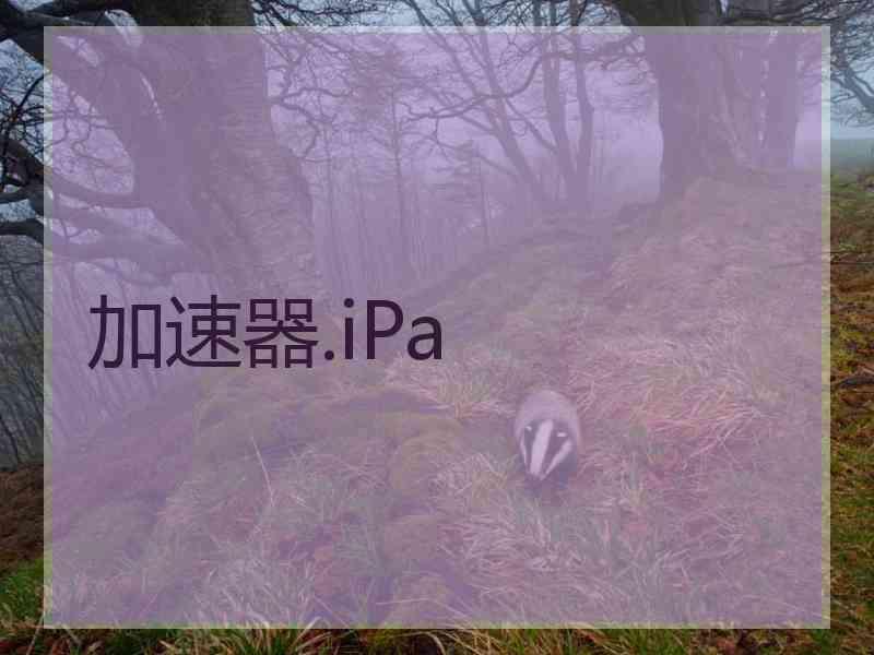 加速器.iPa