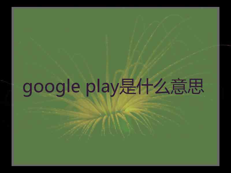 google play是什么意思