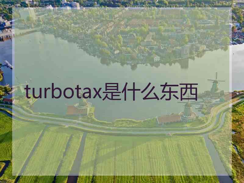 turbotax是什么东西