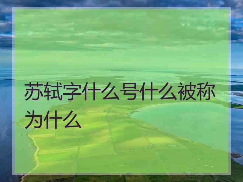 苏轼字什么号什么被称为什么