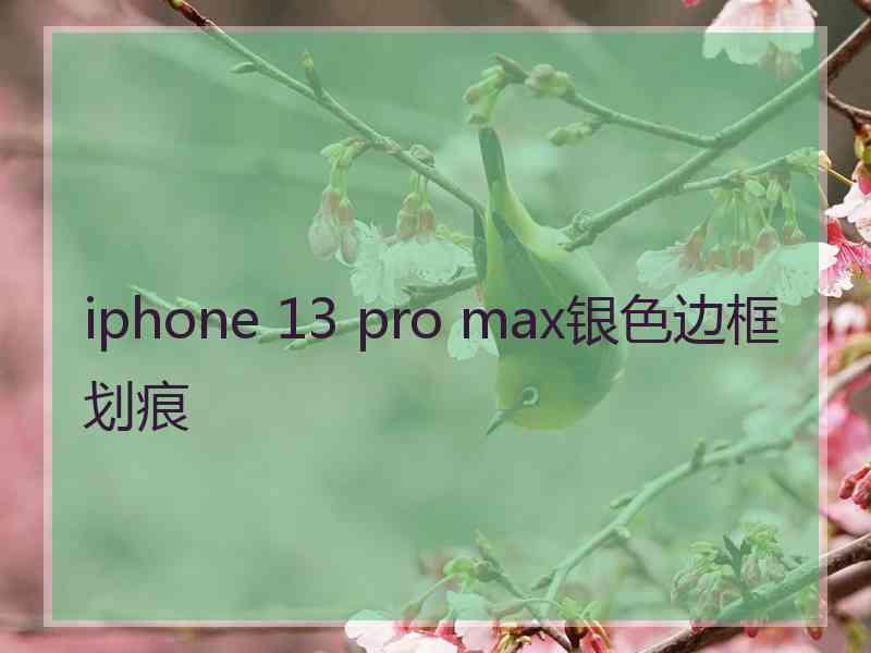 iphone 13 pro max银色边框划痕