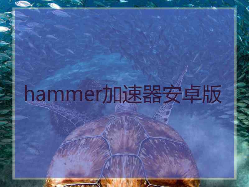 hammer加速器安卓版