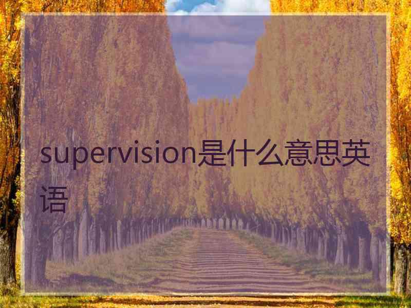 supervision是什么意思英语