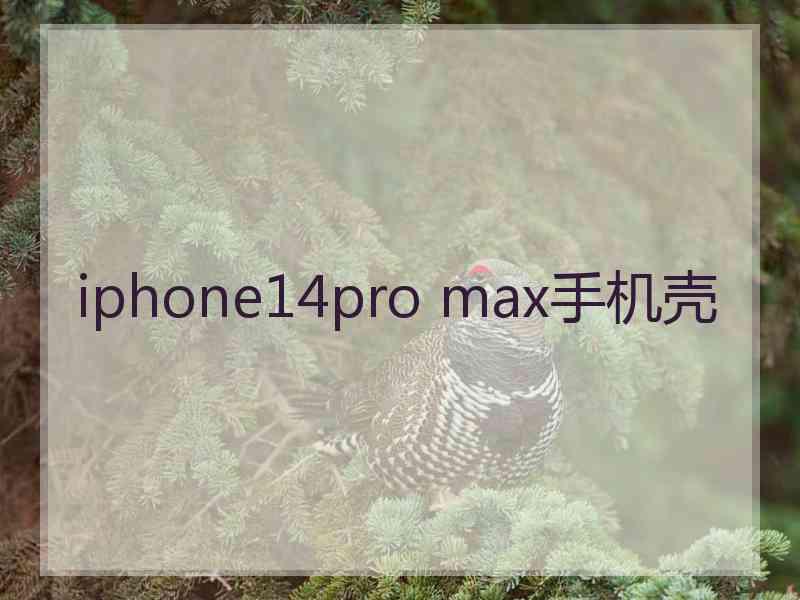 iphone14pro max手机壳