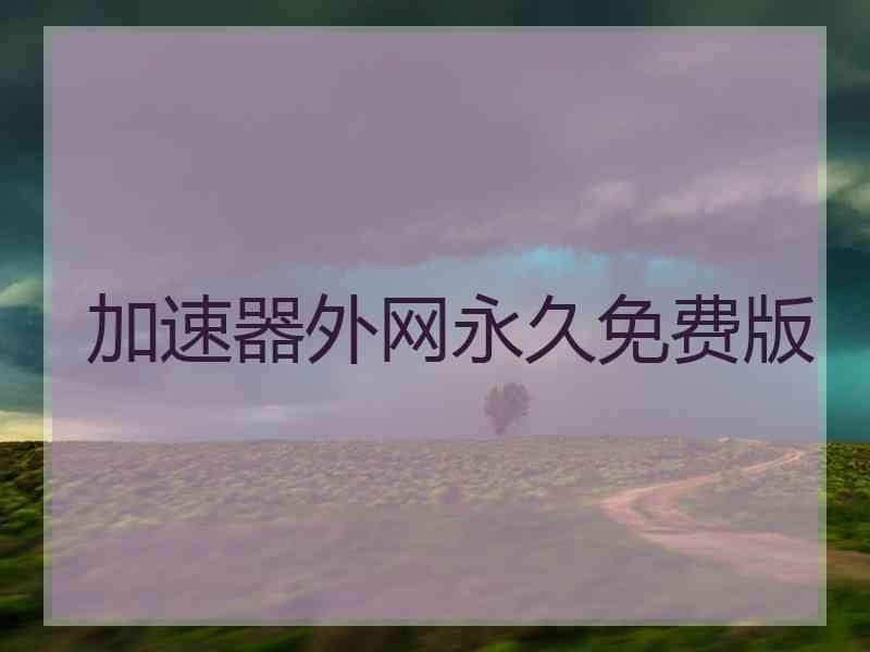 加速器外网永久免费版