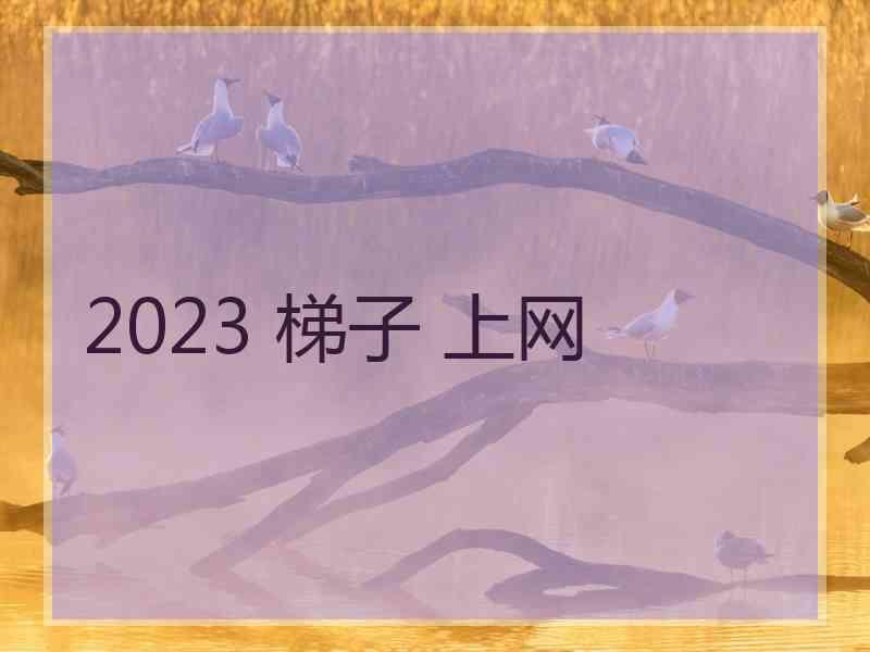 2023 梯子 上网