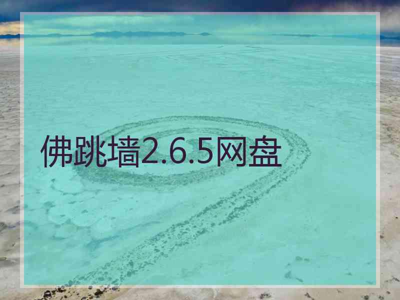 佛跳墙2.6.5网盘