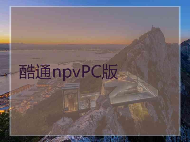 酷通npvPC版