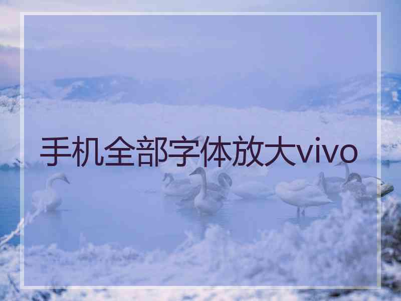 手机全部字体放大vivo