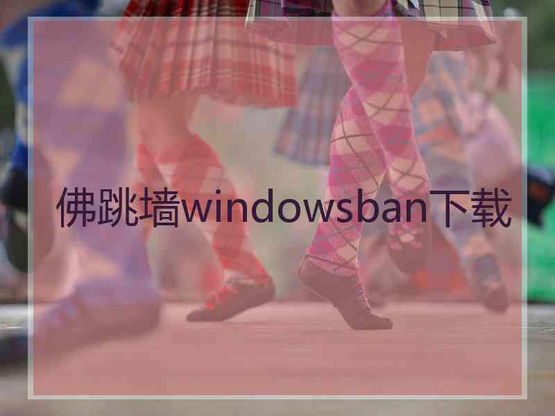 佛跳墙windowsban下载