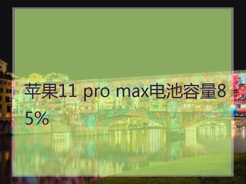 苹果11 pro max电池容量85%