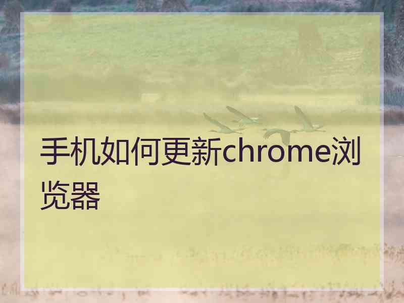 手机如何更新chrome浏览器