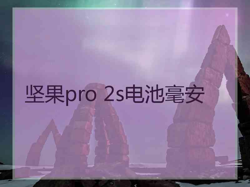 坚果pro 2s电池毫安