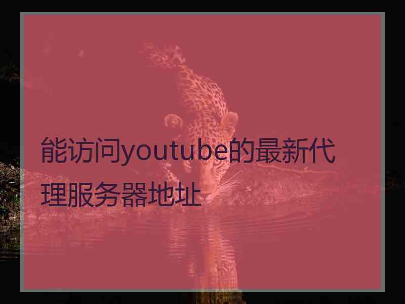 能访问youtube的最新代理服务器地址