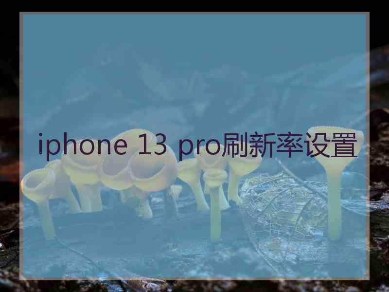 iphone 13 pro刷新率设置