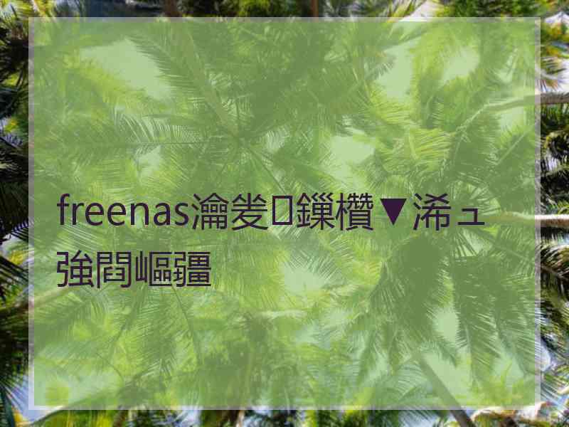 freenas瀹夎鏁欑▼浠ュ強閰嶇疆