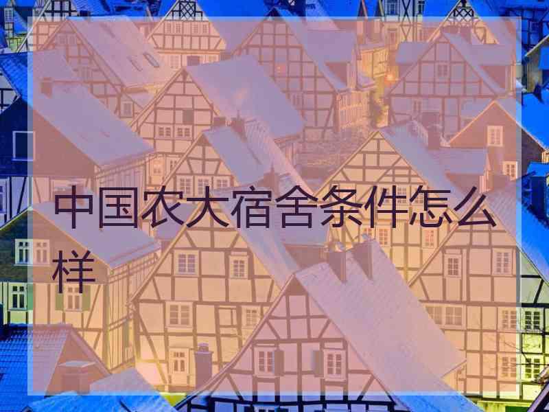 中国农大宿舍条件怎么样