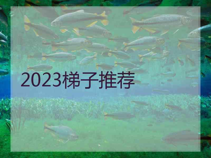 2023梯子推荐