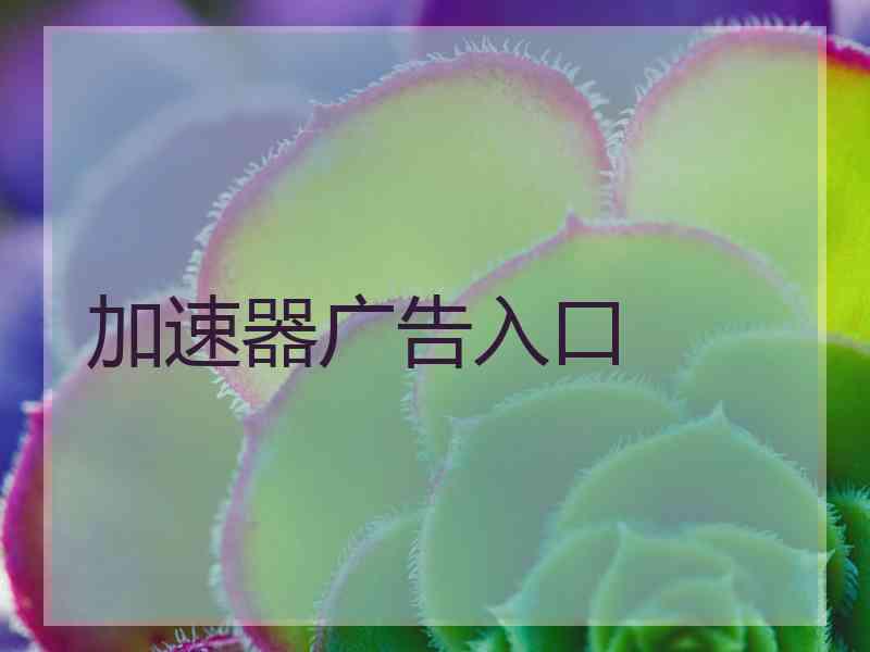 加速器广告入口