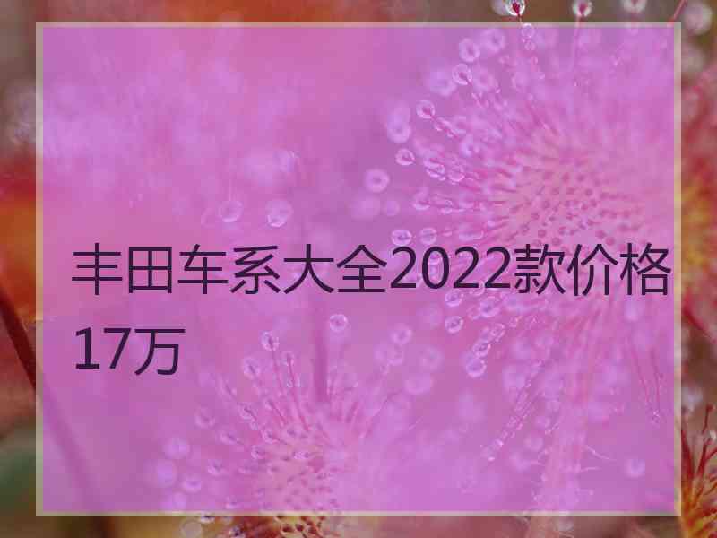 丰田车系大全2022款价格17万