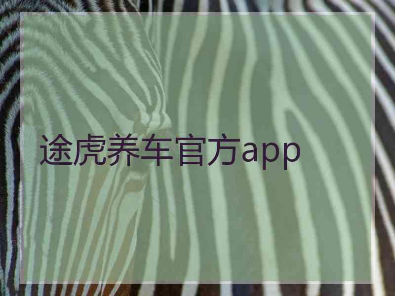 途虎养车官方app