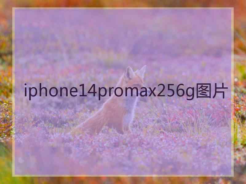 iphone14promax256g图片