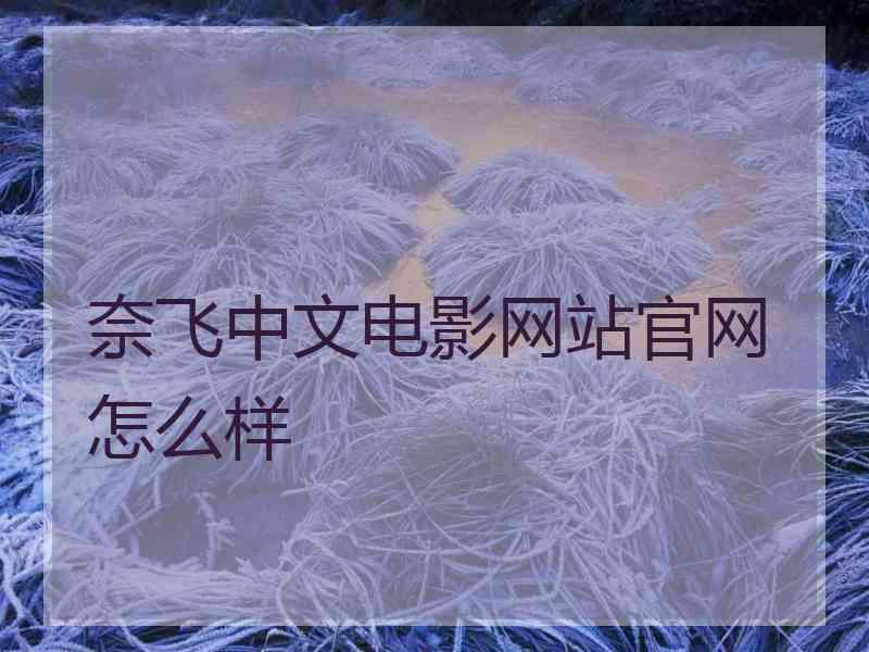 奈飞中文电影网站官网怎么样