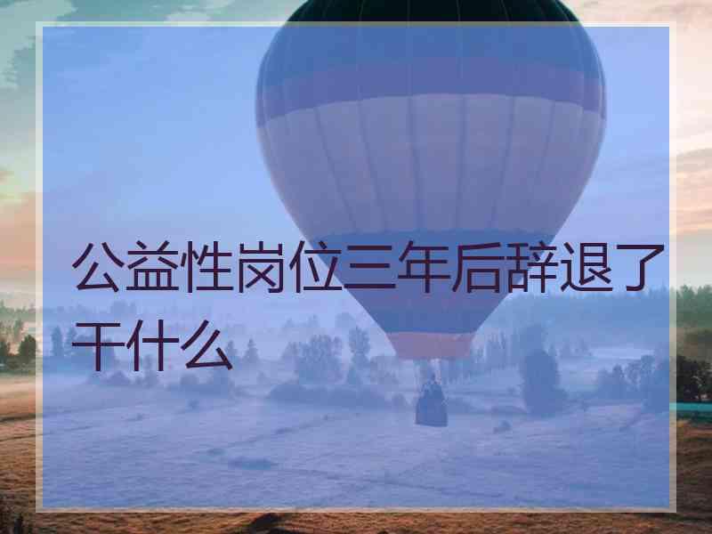 公益性岗位三年后辞退了干什么