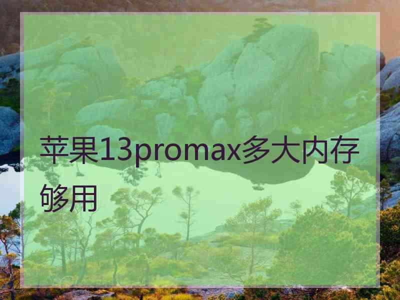 苹果13promax多大内存够用